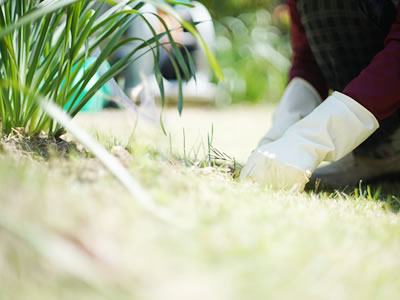 お庭のお悩み、解決します!!