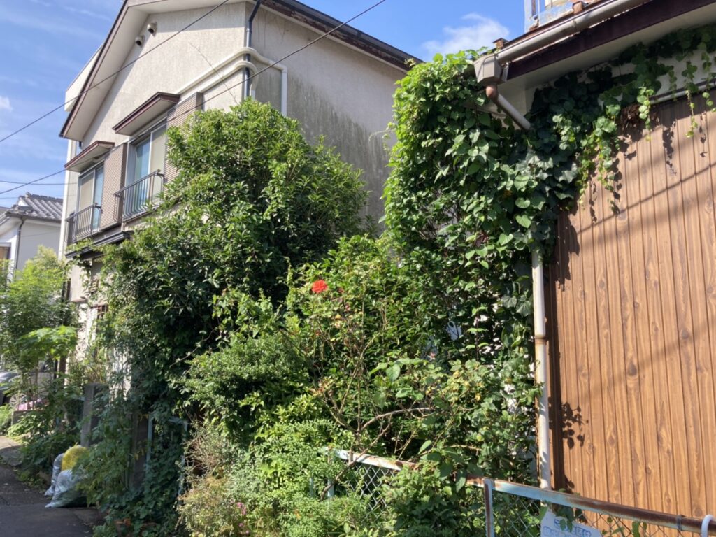 〇〇様邸　植木の伐採